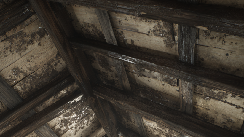 roof flashing failures in Sandhills