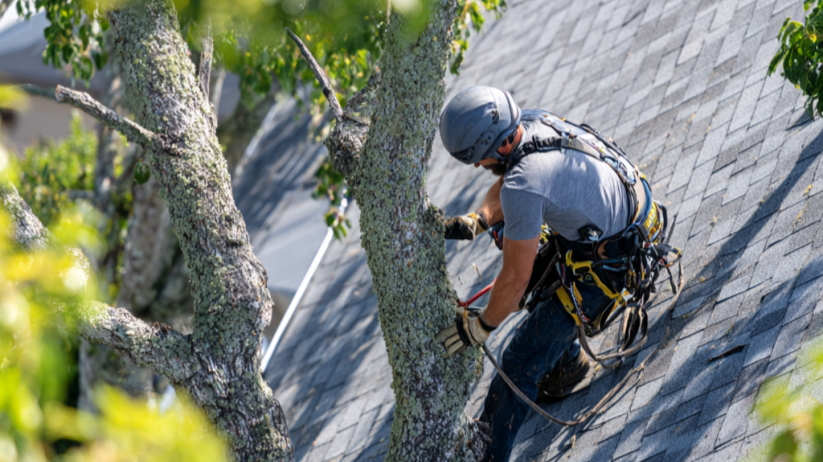 trusted roofing expert in North Carolina