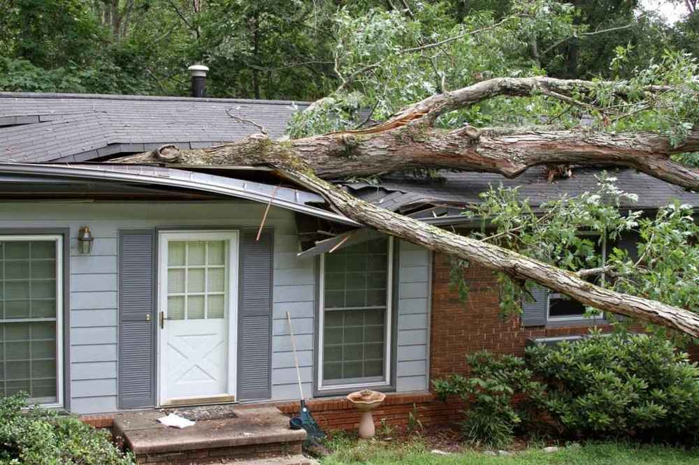Storm Damage Expert