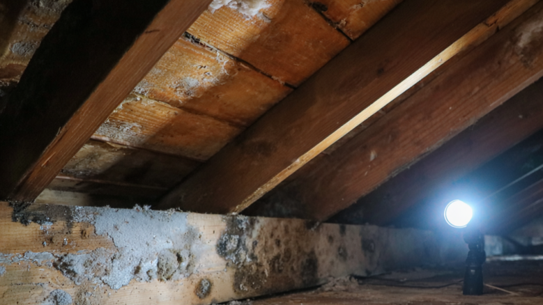 Trusted Attic Moisture Roofing Problem Expert in Greensboro, NC