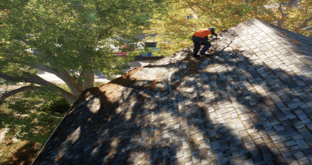 mold vs mildew in Southern Pines NC