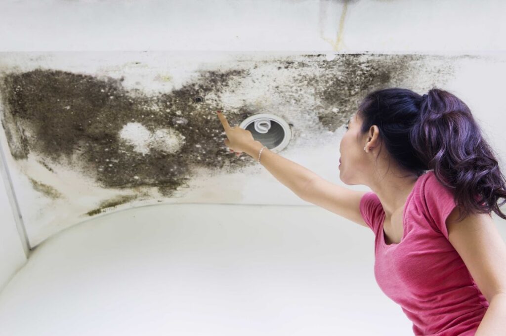 signs of chimney and flashing leaks in Seven Lakes