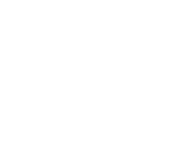 Red Wolf Roofing & Construction logo